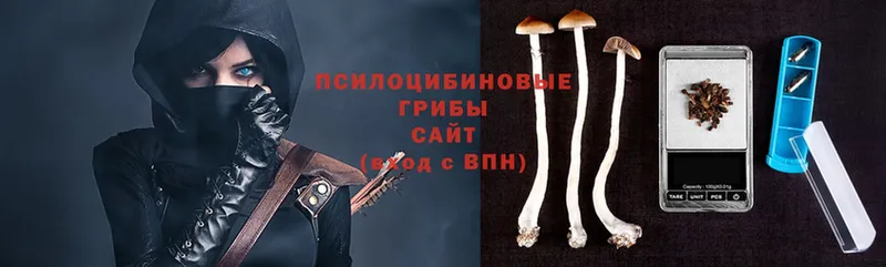 МЕГА как войти  Нижние Серги  Галлюциногенные грибы Psilocybine cubensis 